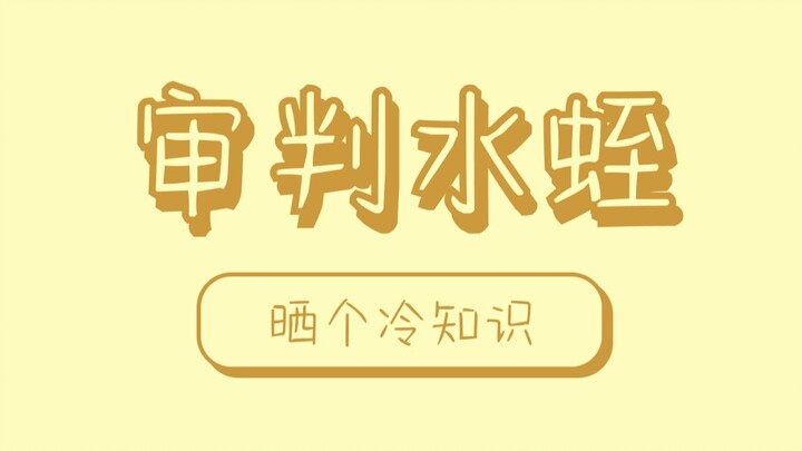 Nhân tố đỉa có rất nhiều con cháu, bị đưa ra tòa giáo hội