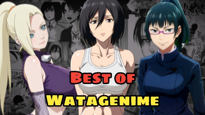 Best of Watagenime 2025