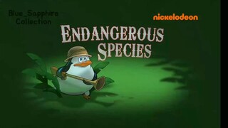 The Penguins Of Madagascar Marathon (MALAY DUB)