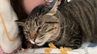 The glutton has a bit of a pervert in him. I bit his neck and he actually started snoring.