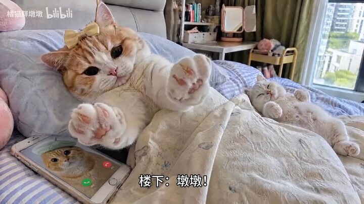 Sungguh Lucu