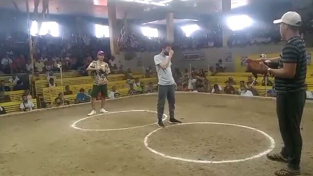 3x winner talisay