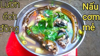 sáng theo anh bảy kiếm lươn ếch đồng nấu canh chua || việt miền tây