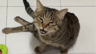 แม่~ ปากหนูว่าง หนูป่วยรึเปล่าคะ?