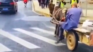 没有令人尊敬的职业，只有令人尊敬的人