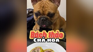 Lần đầu tiên biết món này luôn chahoatrungmuoibachthao koioi frenchie bullphap pet thucung frenchbulldog