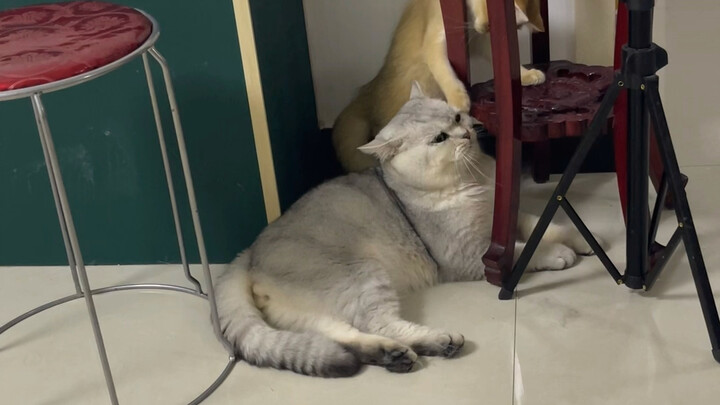 Sudah berakhir, sudah berakhir…hubungan saudara perempuanku telah runtuh…