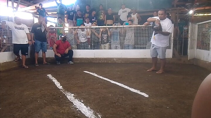 KALABAW KONTRA SA KAMBING PERO NANALO PADIN HAHAAHA