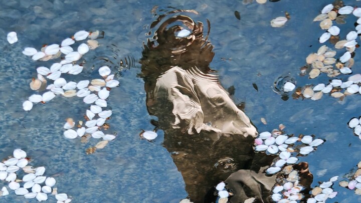Photography gives me the ability to perceive the world