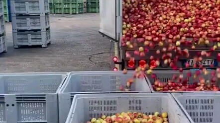 Teknologi Pengisian Buah