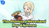The Promised Neverland|[Hand Drawn AMV]Ray &Norman_1