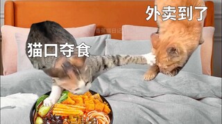 Tâm trí của bạn gái tôi thật khó hiểu!