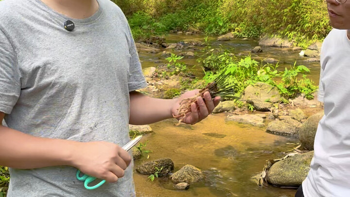 How to Revive a Disabled Orchid Found Outdoors