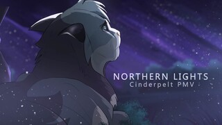 Northern Lights || Cinderpelt PMV [UNFINISHED]
