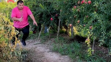 Lựu ở Kashgar đã chín đỏ, anh Bayi không giấu nổi niềm vui.