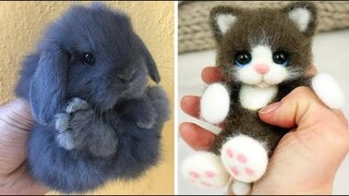 AWW SO CUTE! Cutest baby animals Videos Compilation Cute moment of the Animals - Cutest Animals #8