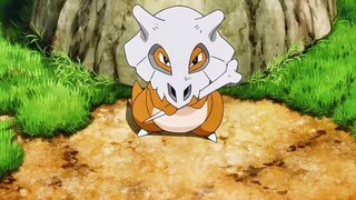 Pokémon cũng có tình cảm sâu sắc