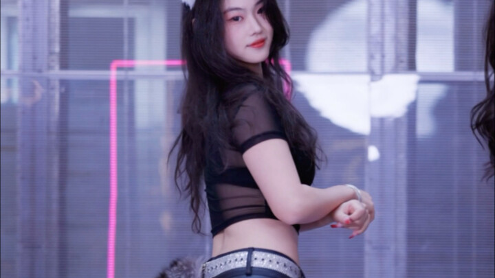 Tính cách mèo cưng bùng nổ!