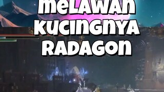 MAGEKU MELAWAN KUCING MILIK RADAGON!!
