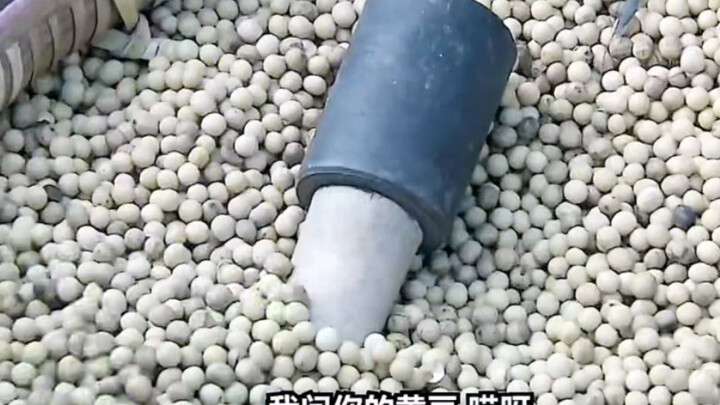 An elderly woman discovered a grenade hidden among soybeans and defused the situation with quick thi