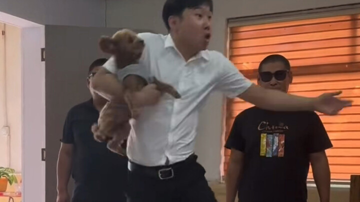 这是什么舞？