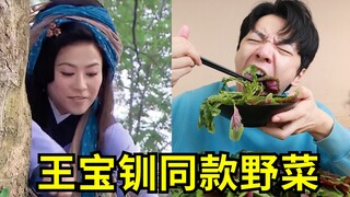 Try the wild vegetables dug by "Wang Baochuan". What do they taste like?