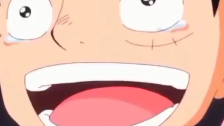 Luffy sangat bahagia