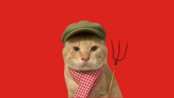 Hakibut, please sit on the steel fork.