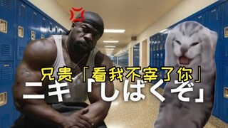 【熟肉】日本人留美仅靠一句话被兄贵们误会瞬间成修罗场 | 猫meme