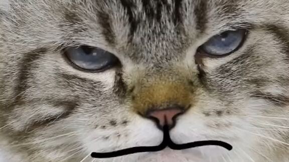😅🤣😂😂
