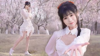 【تصميم رقص أصلي】تفتح مثل الزهرة معي~🌸جو جينغيي "زهرة"