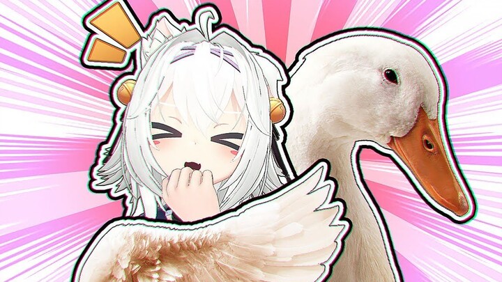 Xem ngỗng lớn bắt nạt cô gái mèo như thế nào! [Video gốc/filian]