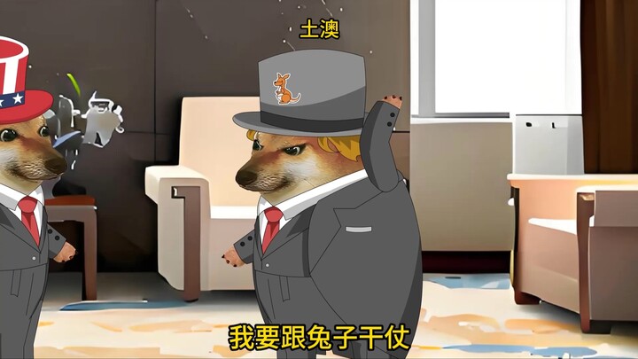 土澳：我要跟兔子干仗