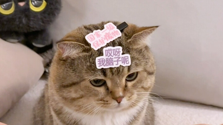 Thôi xong, giờ thì tệ rồi