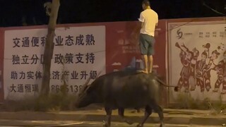 中国有自己的佛罗里达！