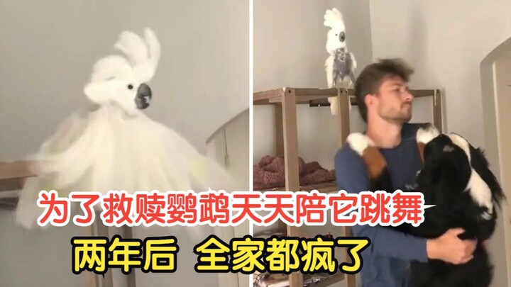 To redeem the parrot, I danced with it every day. Two years later, the whole family went crazy.