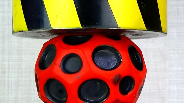 [Chubby Tiger Stress-Relief Video] The latest video is here—come check it out!