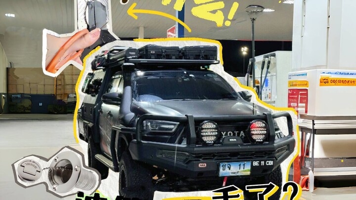 Quá xấu hổ rồi, có phải đầu óc tôi nên ăn thêm chút óc chó không nhỉ