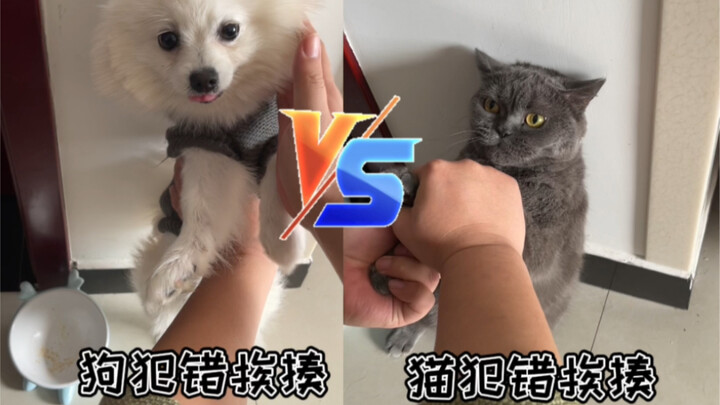 Sirkuit otak kucing dan anjing setelah kena pukul karena berbuat salah