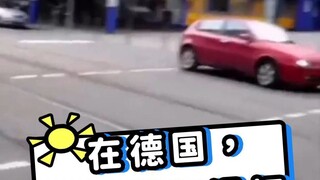 管你是什么品种，在德国都得给我等红绿灯