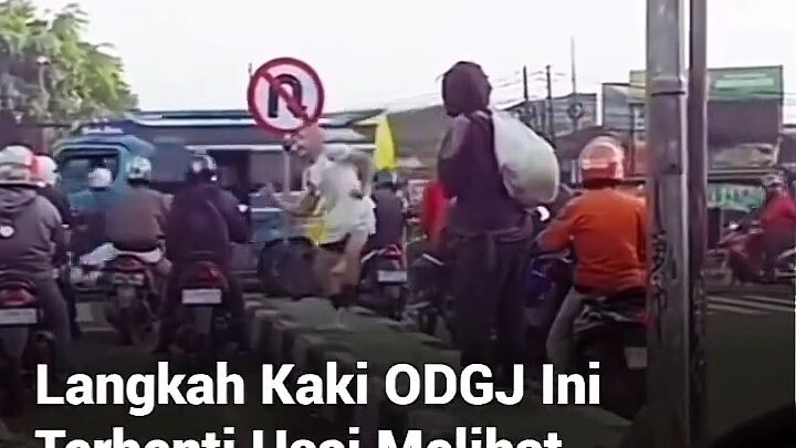 kentir kabeh#zaintemanime #reaction #reactionvideo #lucu #videolucu #jawa #wongjowo #kucing