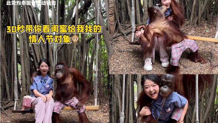 โดนลิงกอริลลาจุ๊บ! ทุกท่าทางคาดไม่ถึงสุดๆ!