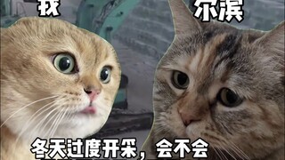 Erbin sudah menyimpan es untuk Dunia Es dan Salju berikutnya.