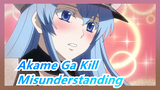 Akame Ga Kill|[Tatsumi&Esdese] Misunderstanding Moments