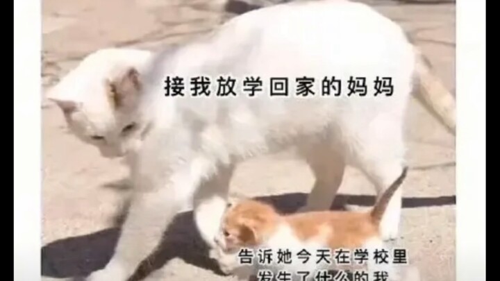 妈，母亲节快乐…