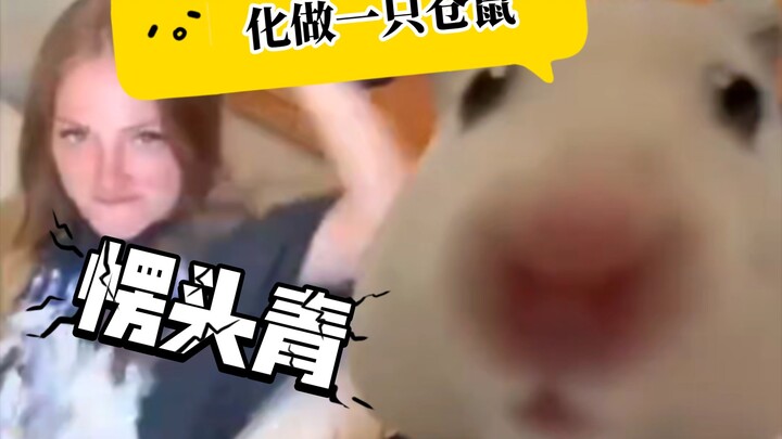 لا أستطيع إلا أن أتحول إلى فأر هامستر صغير.