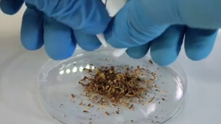 Wow, that scared me so much I quickly grabbed a cigarette.