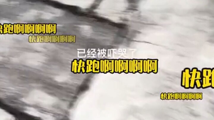 Dog: If you’re gonna rag on him, don’t rag on me—I’m outta here first.