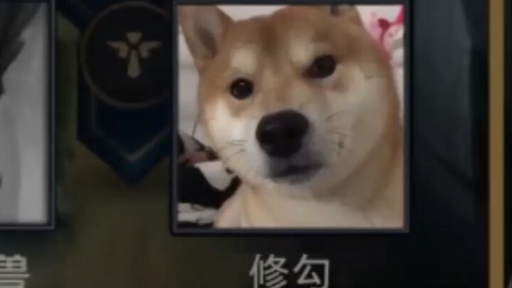 Tu Gou? Đưa đây đi