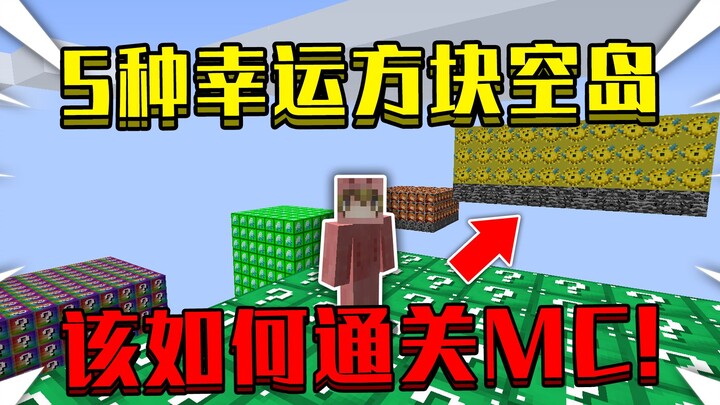 Khi khởi đầu sinh ra trên 5 hòn đảo khối may mắn! Làm thế nào để đánh bại Ender Dragon và hoàn thành